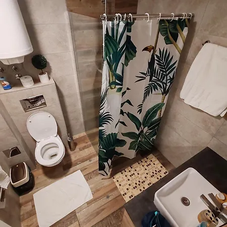 Ogi & Premijer 42 Kopaonik